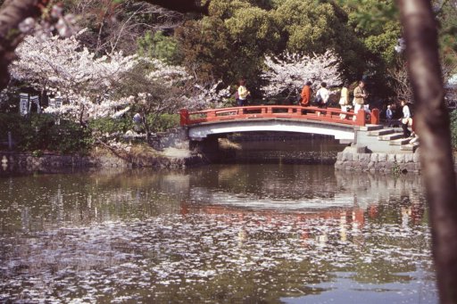 Springtime-in-Japan-62-Kamakura