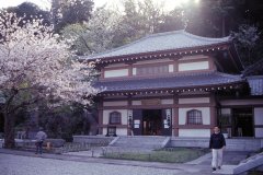 Springtime-in-Japan-67-Kamakura