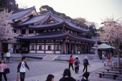 Springtime-in-Japan-68-Kamakura