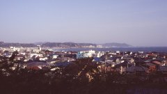 Springtime-in-Japan-69-Kamakura