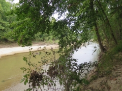 Bayou Saro - IMG_0927