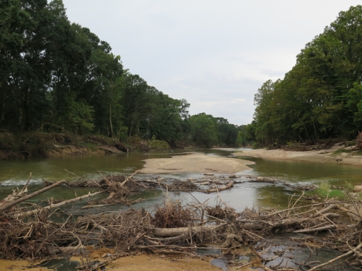Bayou Saro - IMG_0952