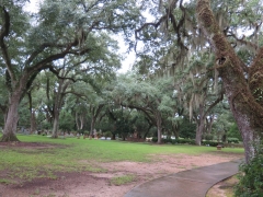 Cemetary - IMG_1048