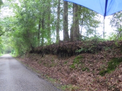 Depressed Road - IMG_1023
