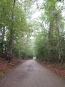 Depressed Road - IMG_1025