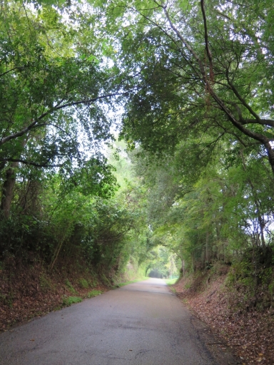 Depressed Road - IMG_1035