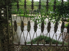 Gate - IMG_1073