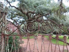 Gate - IMG_1076