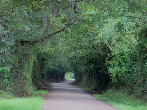 Road - 1 - IMG_1013_1