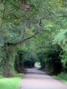 Scenic Road - Color Adjusted - IMG_1014