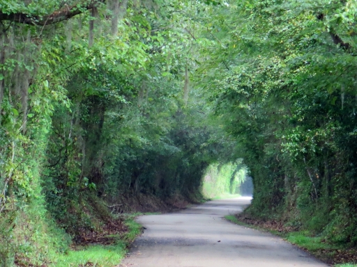Scenic Road - IMG_1017