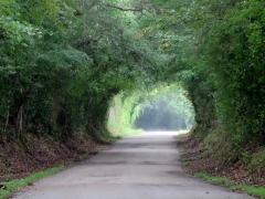 Scenic Road - IMG_1029