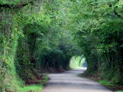 St Francisville Louisiana