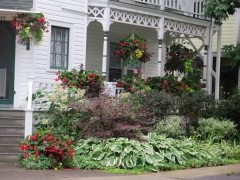Front yard landscaping - IMG_0589