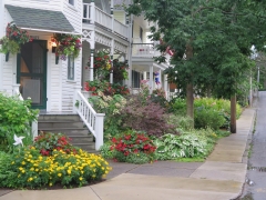 Front yard landscaping - IMG_0595