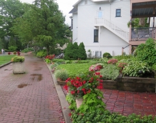 Landscaping - IMG_0600