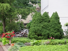 Sculptured Bushes and Bicycles - IMG_0601