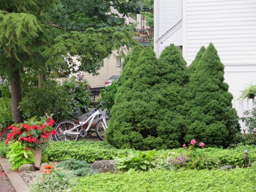 Sculptured Bushes and Bicycles - IMG_0601