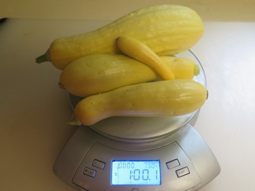 IMG_5847-1-lb-of-yellow-squash