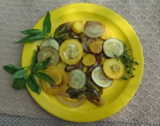 Summer-Squash-and-Basil-Medley-Aug-15-IMG_4677