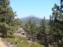 Summertime-at-Snow-Summit-05