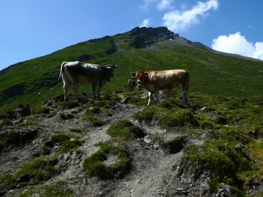 Swiss-Trip-06-P1040363