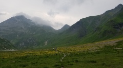 Swiss-Trip-08-20190725_152027