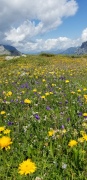 Swiss-Trip-16-20190803_123502