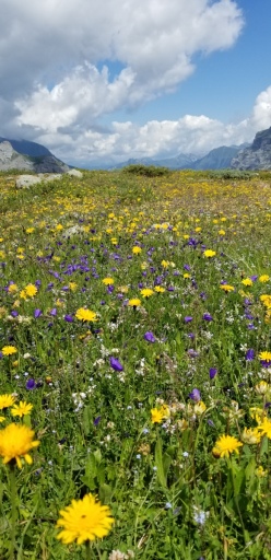 Swiss-Trip-16-20190803_123502