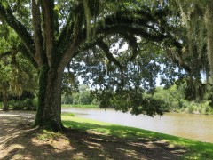 IMG_1899