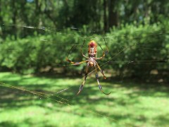 IMG_1912-2