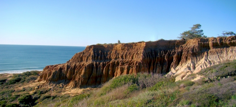 Torrey-Pines-03