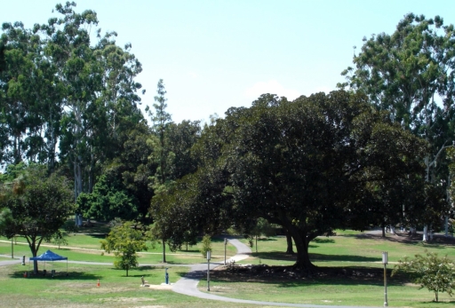 UC-Irvine-Campus-01