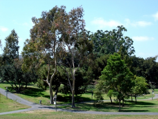 UC-Irvine-Campus-03