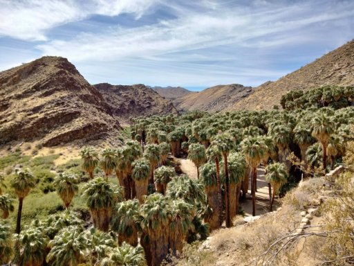 Victor-Trail-loop-in-Palm-Canyon-01