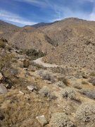 Victor-Trail-loop-in-Palm-Canyon-04