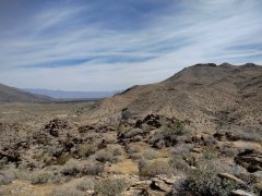 Victor-Trail-loop-in-Palm-Canyon-06
