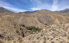 Victor-Trail-loop-in-Palm-Canyon-07