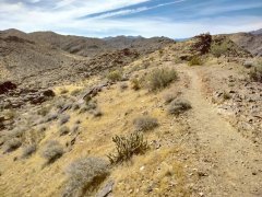 Victor-Trail-loop-in-Palm-Canyon-09