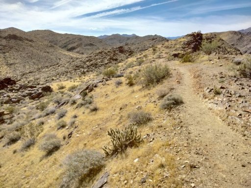 Victor-Trail-loop-in-Palm-Canyon-09