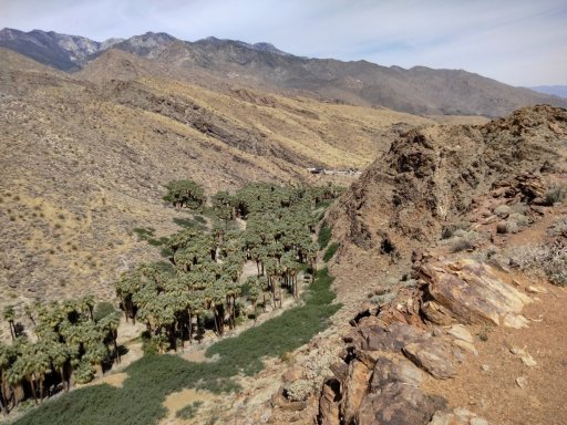 Victor-Trail-loop-in-Palm-Canyon-10