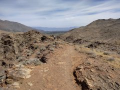 Victor-Trail-loop-in-Palm-Canyon-11