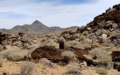 Victor-Trail-loop-in-Palm-Canyon-14