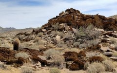 Victor-Trail-loop-in-Palm-Canyon-15