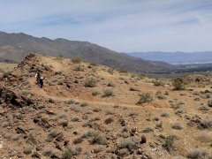 Victor-Trail-loop-in-Palm-Canyon-16