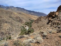 Victor-Trail-loop-in-Palm-Canyon-17