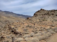 Victor-Trail-loop-in-Palm-Canyon-18