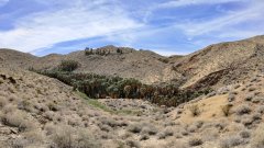 Victor-Trail-loop-in-Palm-Canyon-21