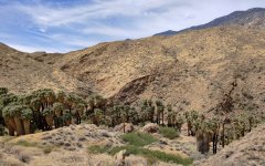 Victor-Trail-loop-in-Palm-Canyon-22