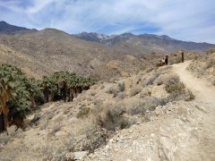 Victor-Trail-loop-in-Palm-Canyon-25